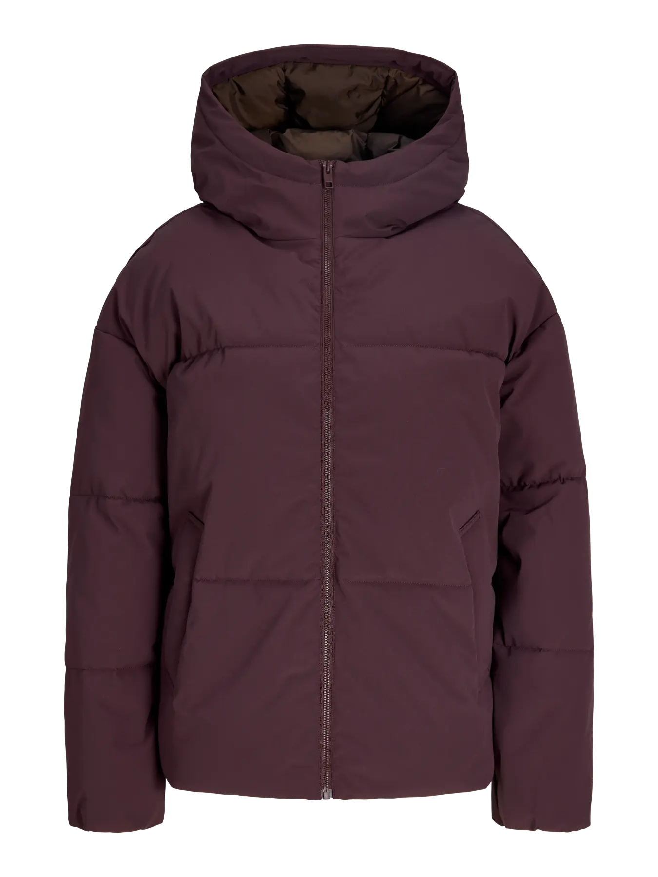 Galaxy Puffer Jacket with Hood