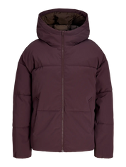 Galaxy Puffer Jacket with Hood
