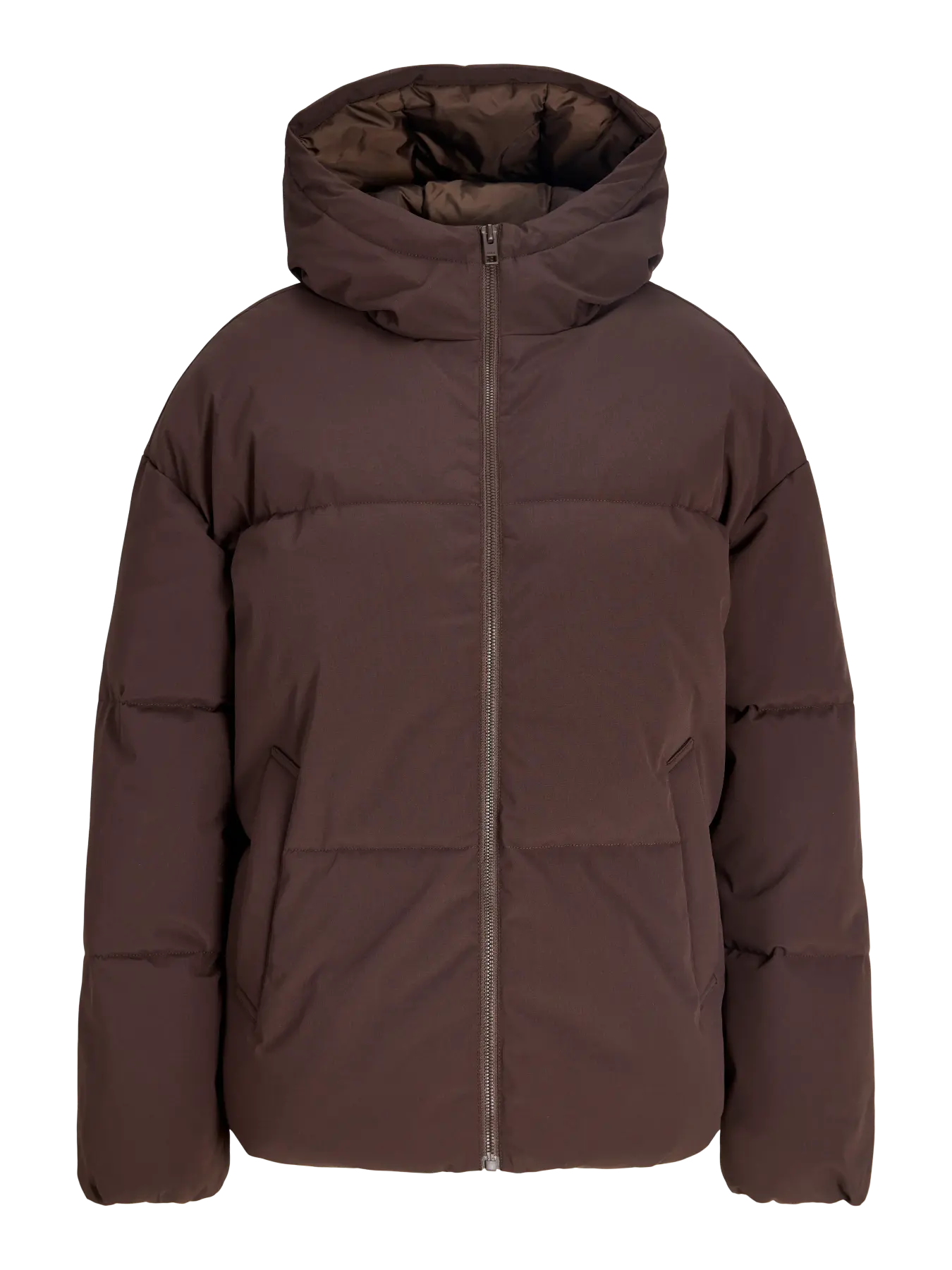 Galaxy Puffer Jacket with Hood