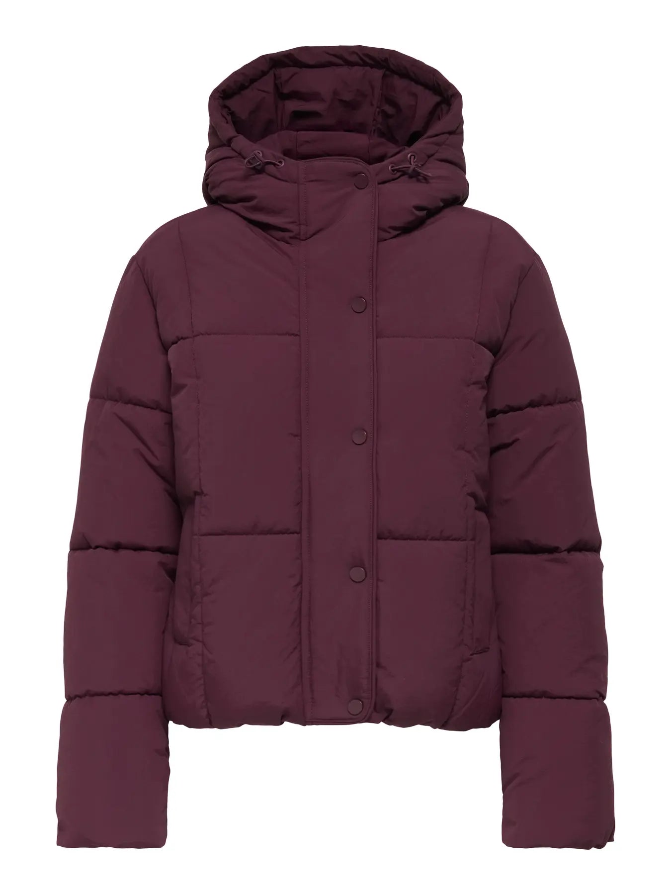 Wonder Burgundy Hooded Puffer Jacket