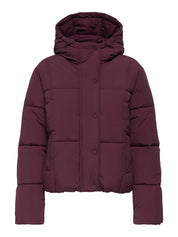 Wonder Burgundy Hooded Puffer Jacket