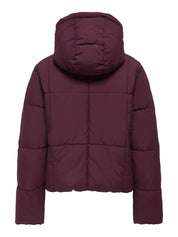Wonder Burgundy Hooded Puffer Jacket
