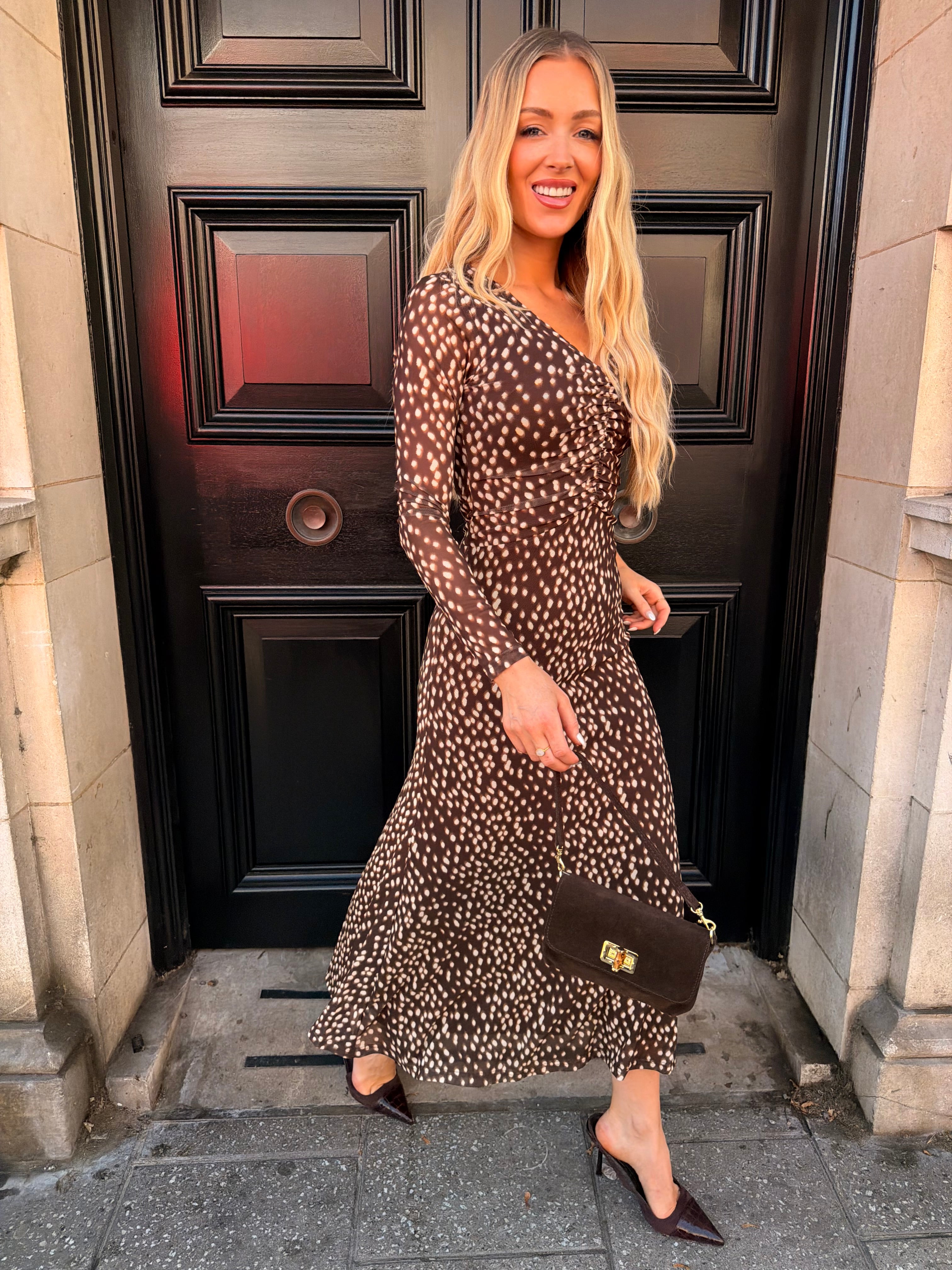 Gini Polka Dot Mesh Dress