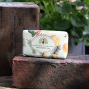 Vintage Cinnamon and Orange Soap