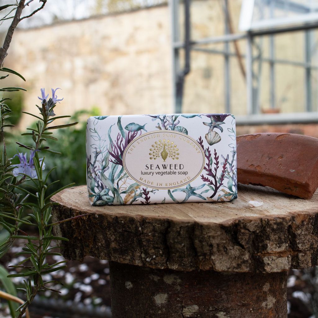 Vintage Seaweed Soap