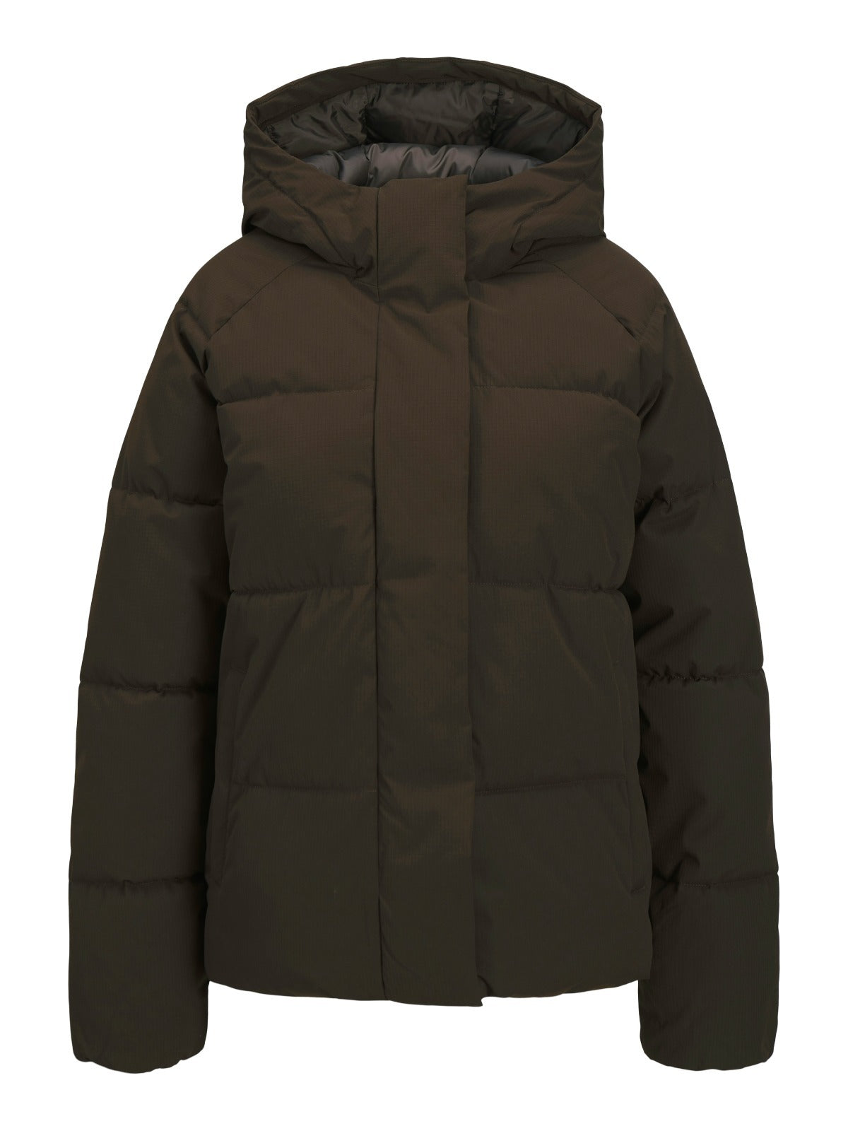 Global Brown Hooded Puffer Jacket
