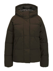 Global Brown Hooded Puffer Jacket