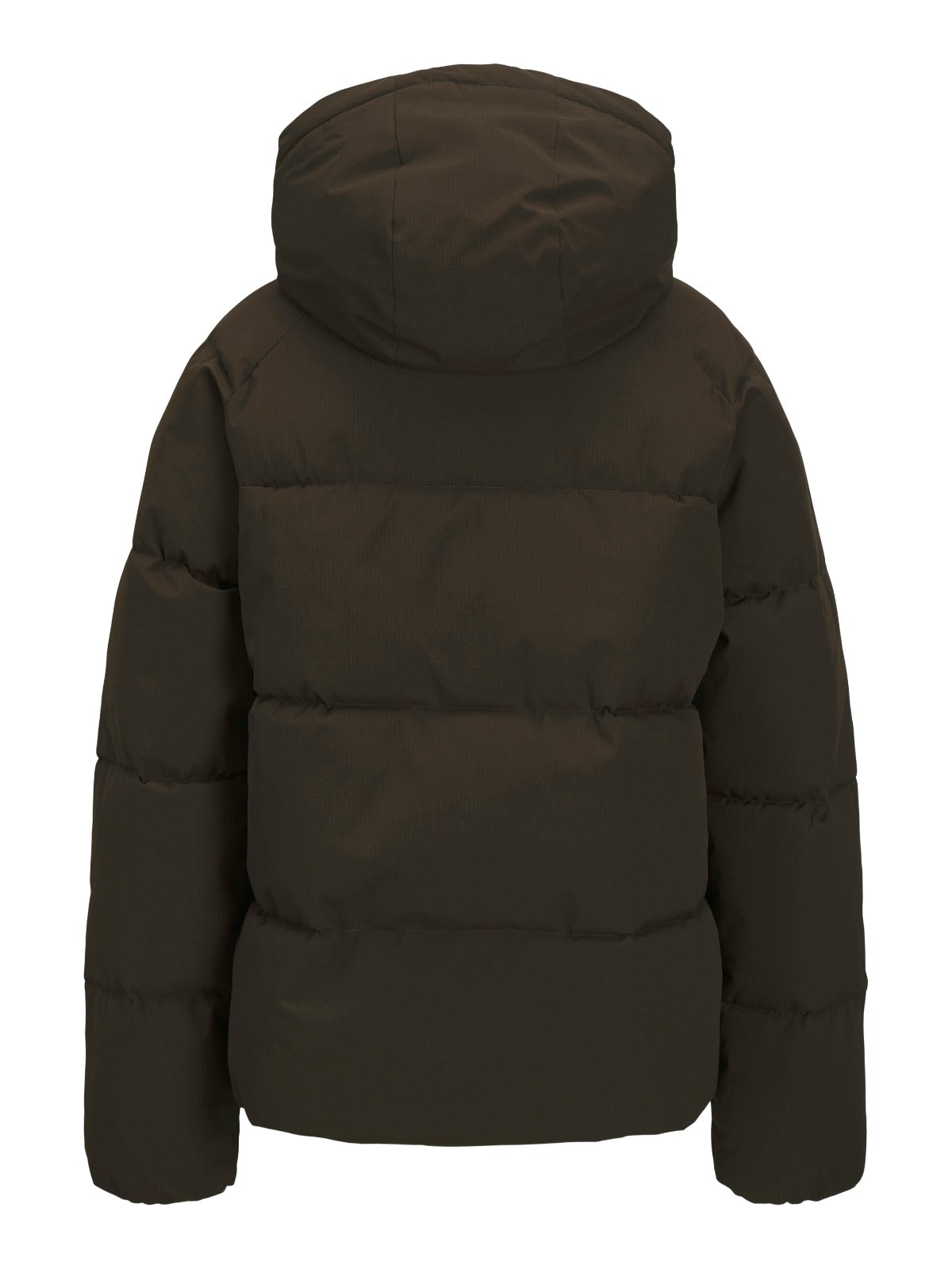Global Brown Hooded Puffer Jacket