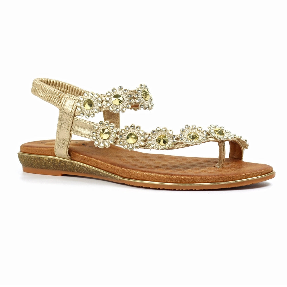 Charlotte II Gold  Sandal