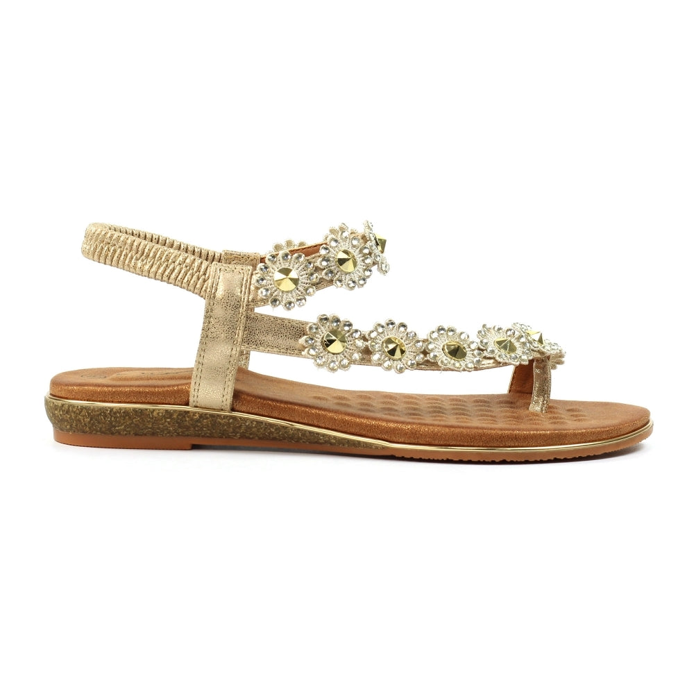 Charlotte II Gold  Sandal