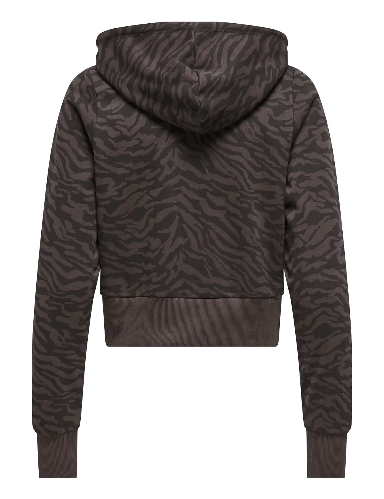 opy15377553_cchocolatetorte_v244915wzebraaop_1.avif